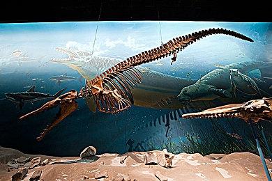 《漫威争锋》首映礼 第1赛季现已开启