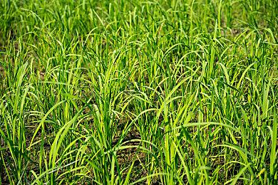 消息称亚马逊花掉6亿美元购买古墓丽影版权