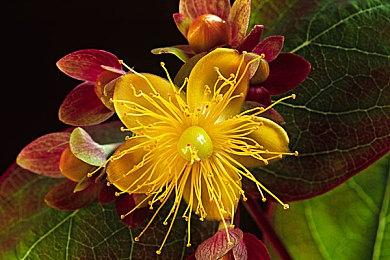 视觉小说《我和她的研修日志》上线Steam 发售时间待定