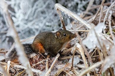 《光圈科技打工记》免费发布 Steam好评如潮